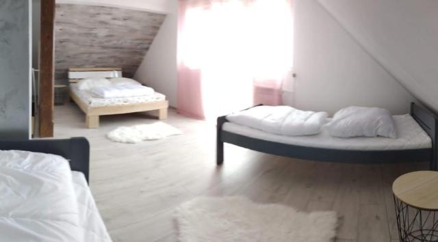 Apartamenty Gorski Strumyk 卡尔帕奇 外观 照片