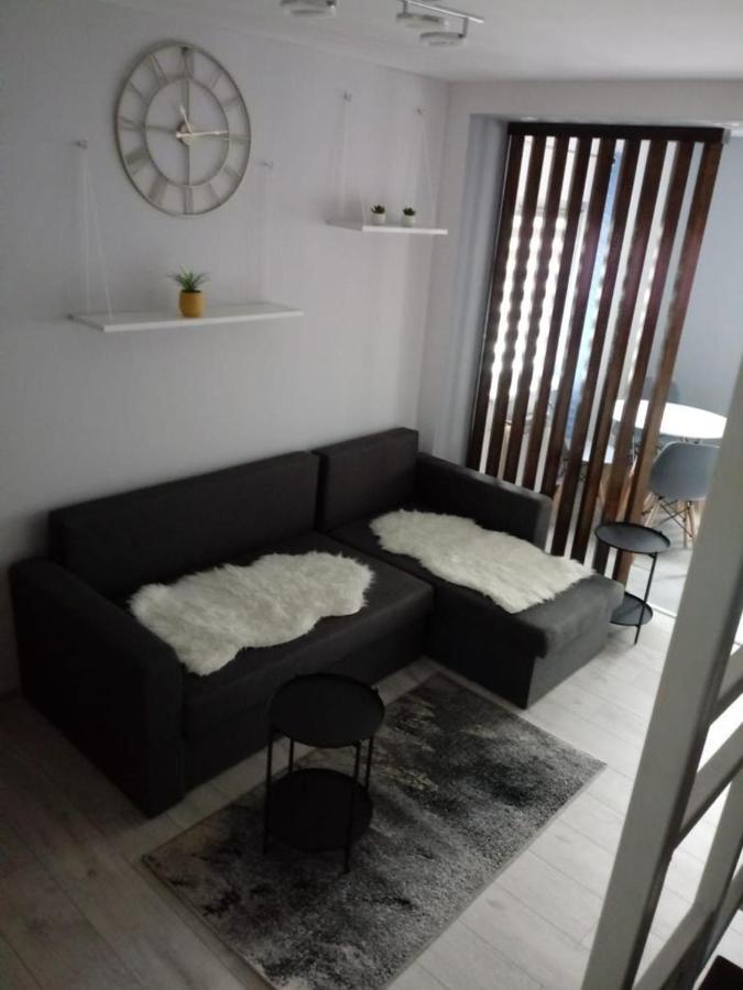 Apartamenty Gorski Strumyk 卡尔帕奇 外观 照片